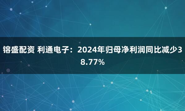 镕盛配资 利通电子：2024年归母净利润同比减少38.77%