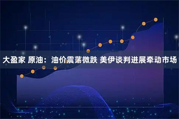 大盈家 原油：油价震荡微跌 美伊谈判进展牵动市场